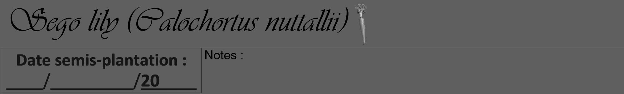 Étiquette de : Calochortus nuttallii - format a - style noire10viv avec comestibilité simplifiée