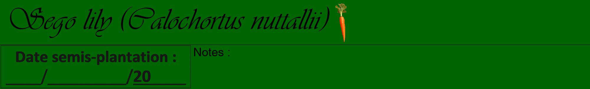 Étiquette de : Calochortus nuttallii - format a - style noire8viv avec comestibilité simplifiée
