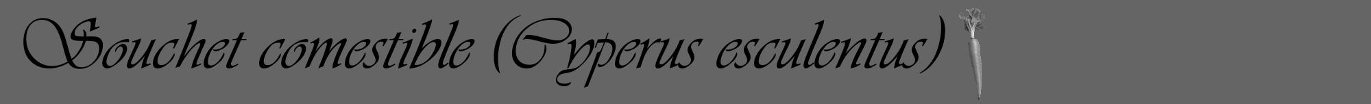 Étiquette de : Cyperus esculentus - format a - style noire32viv avec comestibilité simplifiée