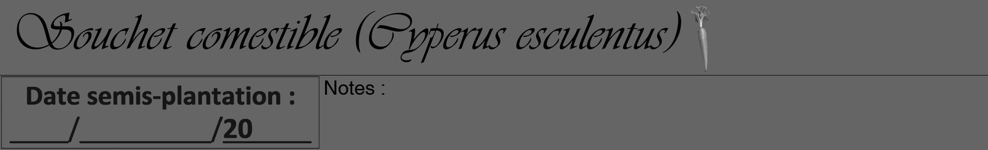 Étiquette de : Cyperus esculentus - format a - style noire32viv avec comestibilité simplifiée