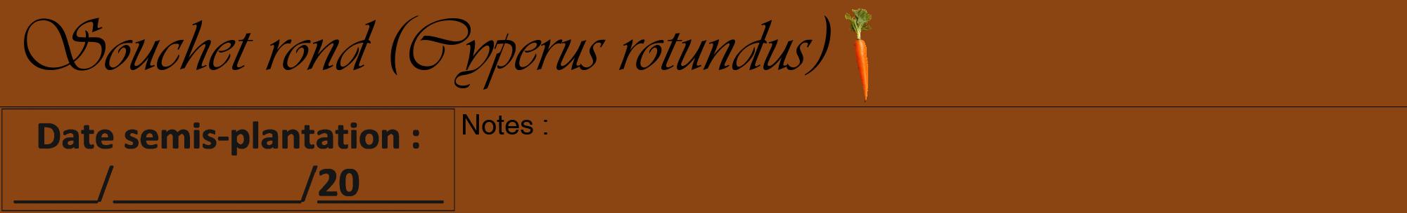 Étiquette de : Cyperus rotundus - format a - style noire30viv avec comestibilité simplifiée