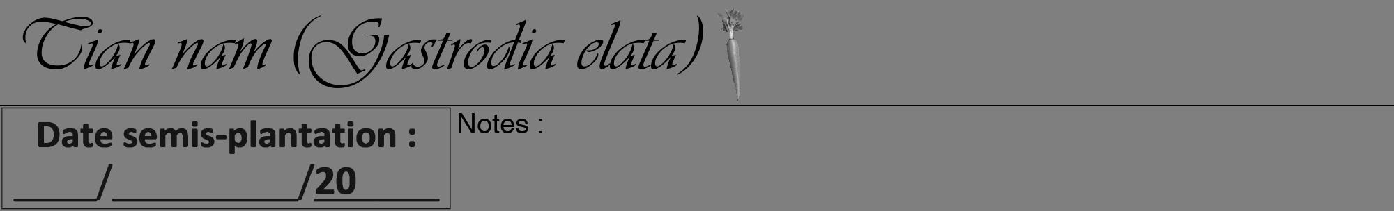 Étiquette de : Gastrodia elata - format a - style noire31viv avec comestibilité simplifiée