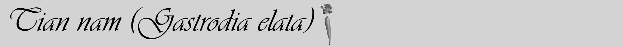 Étiquette de : Gastrodia elata - format a - style noire56viv avec comestibilité simplifiée