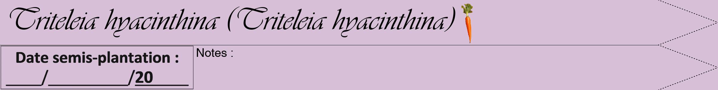 Étiquette de : Triteleia hyacinthina - format a - style noire54simpleviv avec comestibilité simplifiée