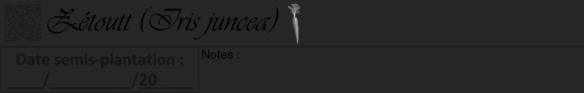 Étiquette de : Iris juncea - format a - style noire29basiqueviv avec qrcode et comestibilité simplifiée
