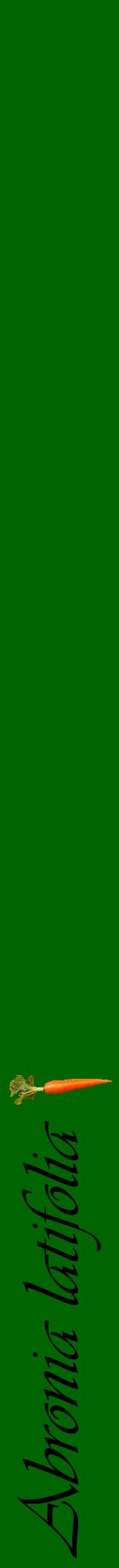 Étiquette de : Abronia latifolia - format a - style noire8viv avec comestibilité simplifiée