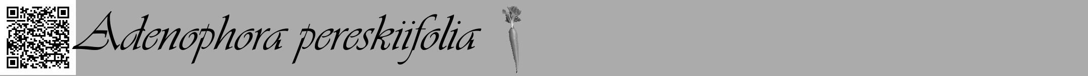Étiquette de : Adenophora pereskiifolia - format a - style noire37viv avec qrcode et comestibilité simplifiée