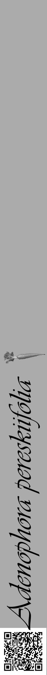 Étiquette de : Adenophora pereskiifolia - format a - style noire37viv avec qrcode et comestibilité simplifiée - position verticale
