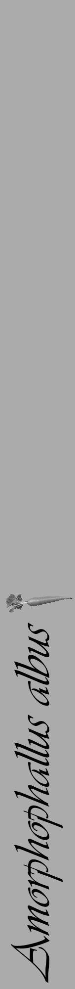 Étiquette de : Amorphophallus albus - format a - style noire37viv avec comestibilité simplifiée - position verticale
