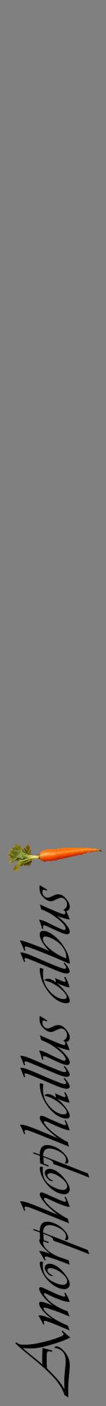 Étiquette de : Amorphophallus albus - format a - style noire57viv avec comestibilité simplifiée