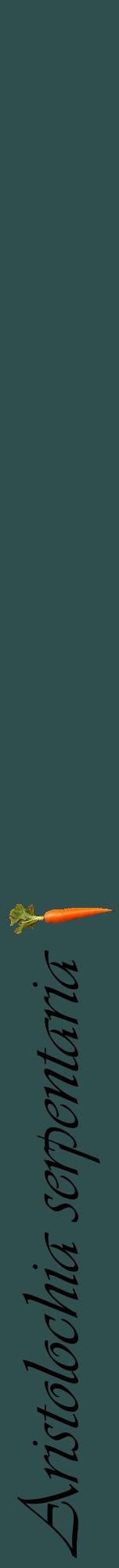 Étiquette de : Aristolochia serpentaria - format a - style noire58viv avec comestibilité simplifiée