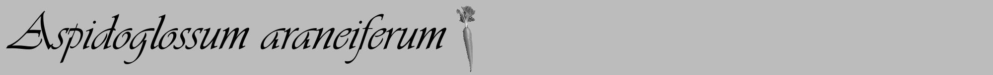 Étiquette de : Aspidoglossum araneiferum - format a - style noire1viv avec comestibilité simplifiée