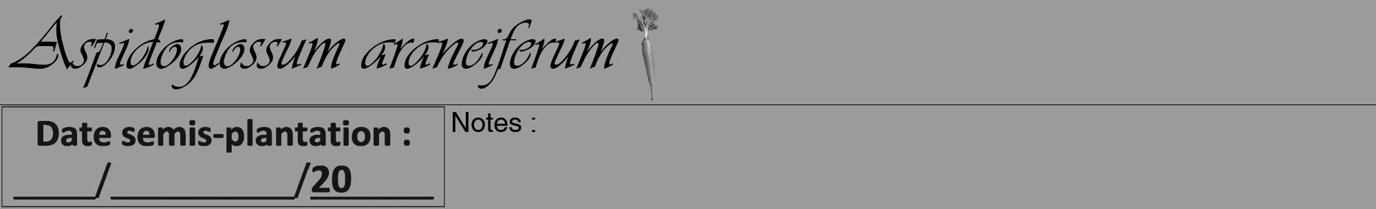 Étiquette de : Aspidoglossum araneiferum - format a - style noire52viv avec comestibilité simplifiée