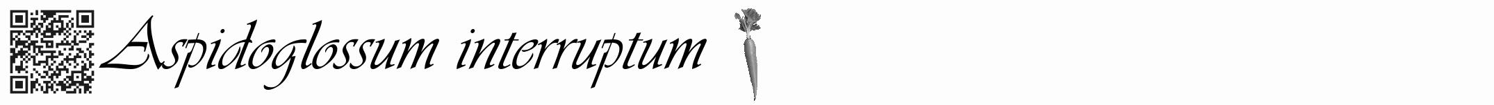 Étiquette de : Aspidoglossum interruptum - format a - style noire19viv avec qrcode et comestibilité simplifiée