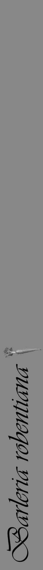 Étiquette de : Barleria robentiana - format a - style noire12viv avec comestibilité simplifiée - position verticale