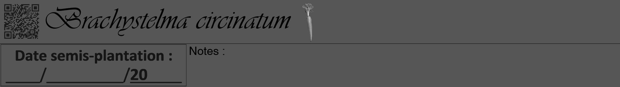 Étiquette de : Brachystelma circinatum - format a - style noire45viv avec qrcode et comestibilité simplifiée