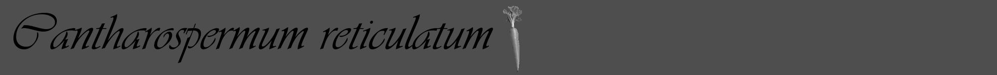 Étiquette de : Cantharospermum reticulatum - format a - style noire33viv avec comestibilité simplifiée