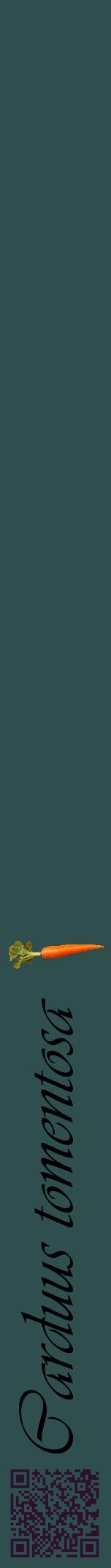 Étiquette de : Carduus tomentosa - format a - style noire58viv avec qrcode et comestibilité simplifiée - position verticale