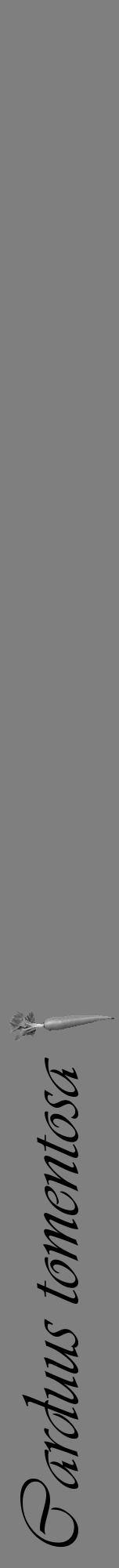 Étiquette de : Carduus tomentosa - format a - style noire31viv avec comestibilité simplifiée - position verticale