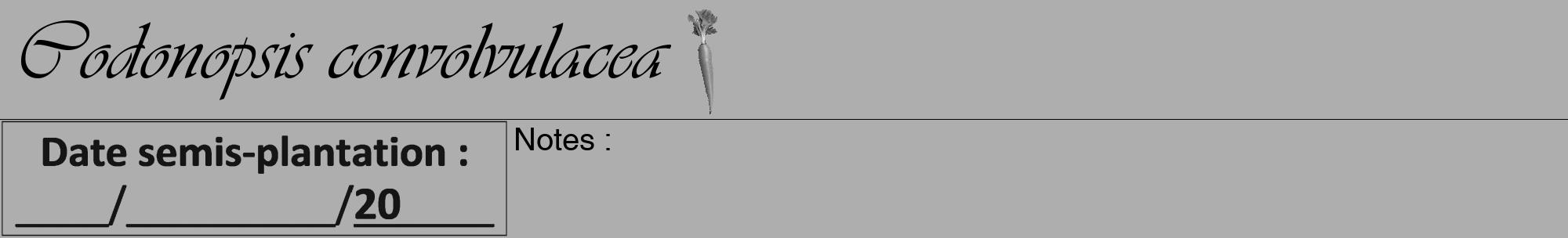 Étiquette de : Codonopsis convolvulacea - format a - style noire53viv avec comestibilité simplifiée