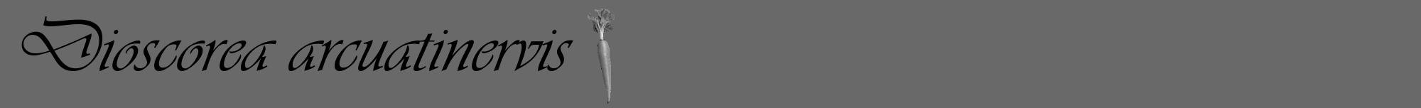Étiquette de : Dioscorea arcuatinervis - format a - style noire51viv avec comestibilité simplifiée