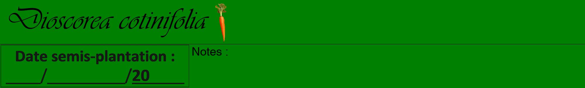 Étiquette de : Dioscorea cotinifolia - format a - style noire9viv avec comestibilité simplifiée