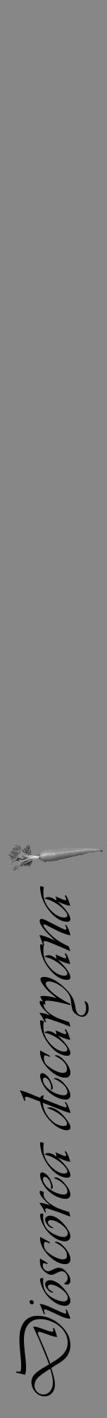 Étiquette de : Dioscorea decaryana - format a - style noire12viv avec comestibilité simplifiée - position verticale