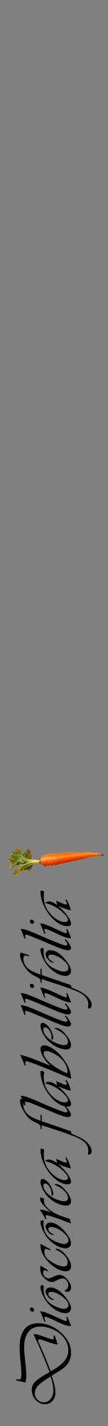 Étiquette de : Dioscorea flabellifolia - format a - style noire57viv avec comestibilité simplifiée