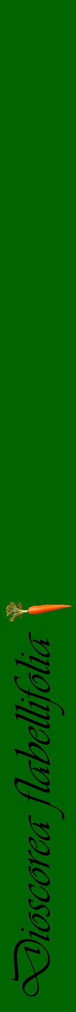 Étiquette de : Dioscorea flabellifolia - format a - style noire8viv avec comestibilité simplifiée