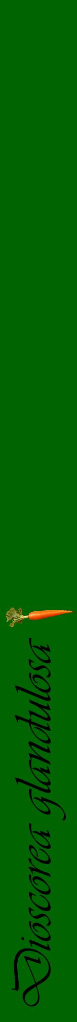 Étiquette de : Dioscorea glandulosa - format a - style noire8viv avec comestibilité simplifiée