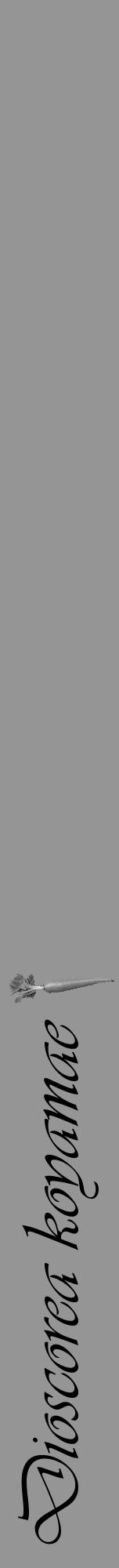Étiquette de : Dioscorea koyamae - format a - style noire16viv avec comestibilité simplifiée - position verticale