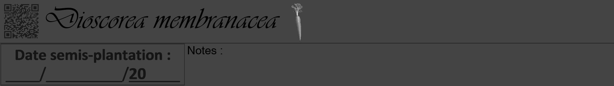 Étiquette de : Dioscorea membranacea - format a - style noire48simpleviv avec qrcode et comestibilité simplifiée