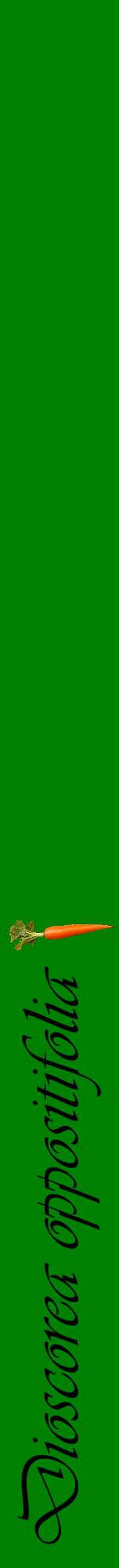 Étiquette de : Dioscorea oppositifolia - format a - style noire9viv avec comestibilité simplifiée