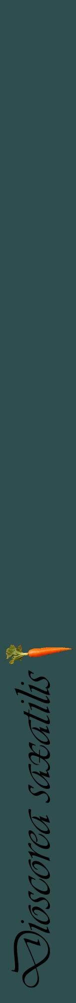 Étiquette de : Dioscorea saxatilis - format a - style noire58viv avec comestibilité simplifiée