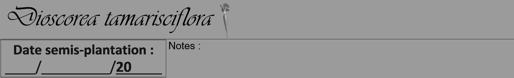 Étiquette de : Dioscorea tamarisciflora - format a - style noire52viv avec comestibilité simplifiée
