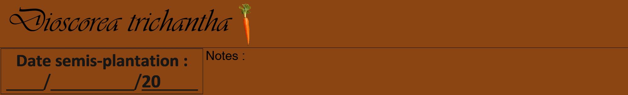 Étiquette de : Dioscorea trichantha - format a - style noire30viv avec comestibilité simplifiée