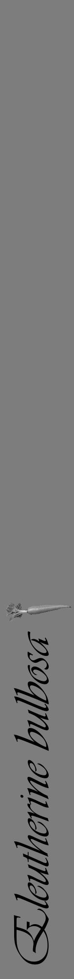 Étiquette de : Eleutherine bulbosa - format a - style noire35viv avec comestibilité simplifiée - position verticale