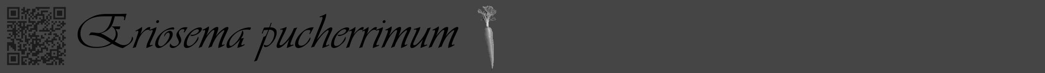 Étiquette de : Eriosema pucherrimum - format a - style noire58viv avec qrcode et comestibilité simplifiée