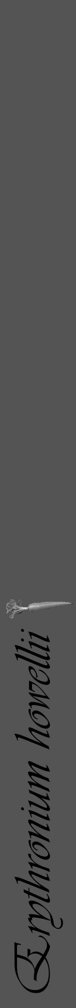 Étiquette de : Erythronium howellii - format a - style noire30viv avec comestibilité simplifiée - position verticale