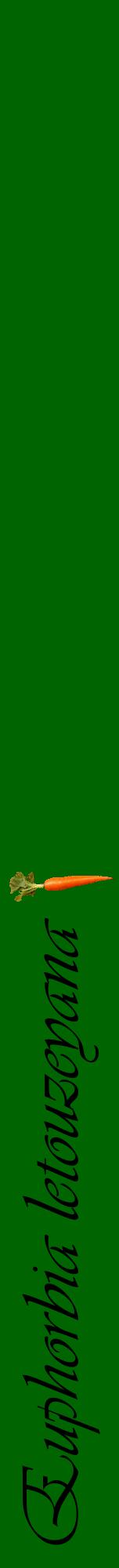 Étiquette de : Euphorbia letouzeyana - format a - style noire8viv avec comestibilité simplifiée