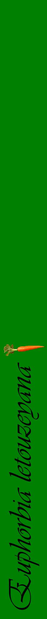Étiquette de : Euphorbia letouzeyana - format a - style noire9viv avec comestibilité simplifiée
