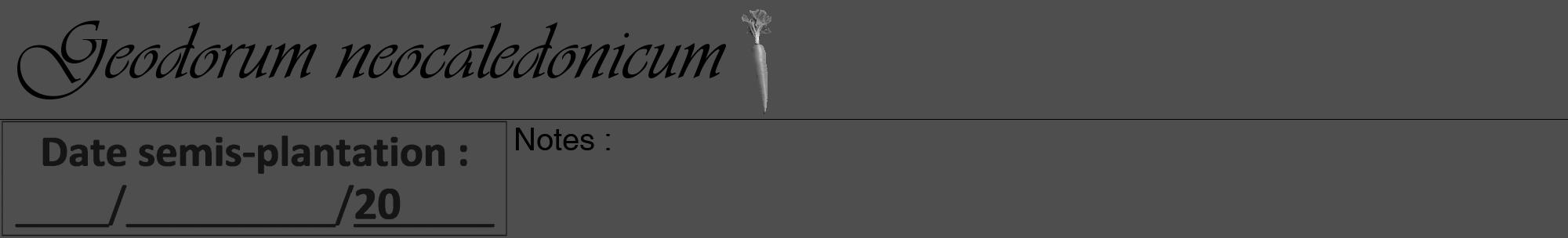 Étiquette de : Geodorum neocaledonicum - format a - style noire33viv avec comestibilité simplifiée