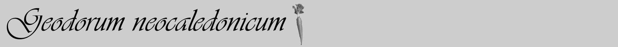 Étiquette de : Geodorum neocaledonicum - format a - style noire41viv avec comestibilité simplifiée