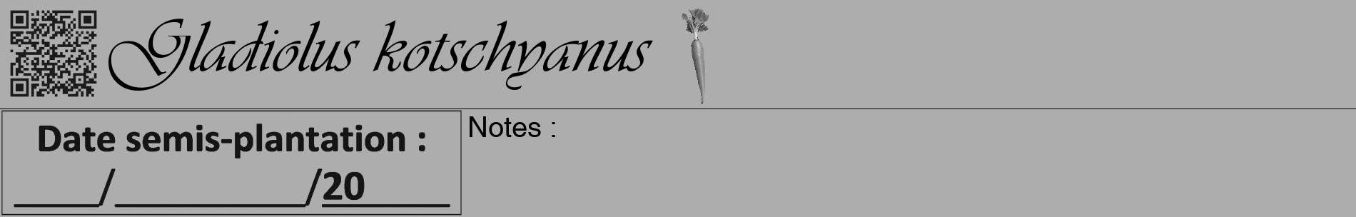 Étiquette de : Gladiolus kotschyanus - format a - style noire22basiqueviv avec qrcode et comestibilité simplifiée