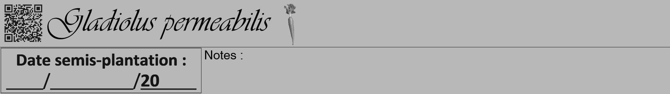 Étiquette de : Gladiolus permeabilis - format a - style noire39viv avec qrcode et comestibilité simplifiée