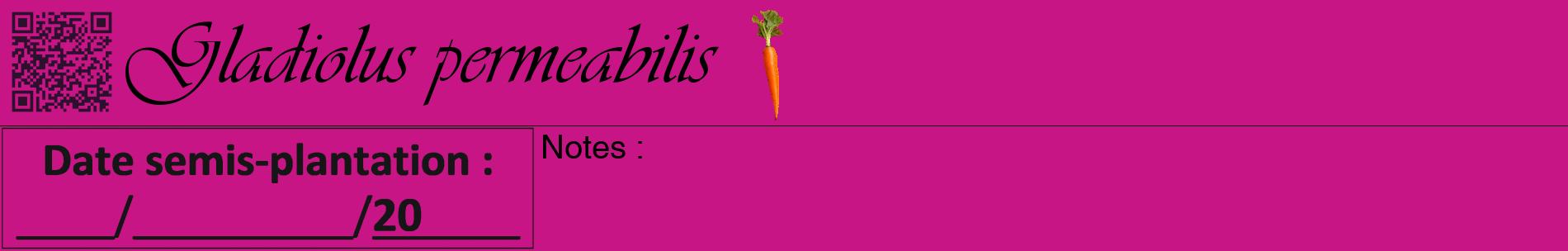 Étiquette de : Gladiolus permeabilis - format a - style noire45basiqueviv avec qrcode et comestibilité simplifiée