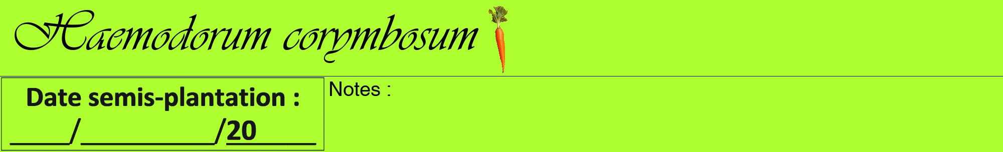 Étiquette de : Haemodorum corymbosum - format a - style noire17viv avec comestibilité simplifiée