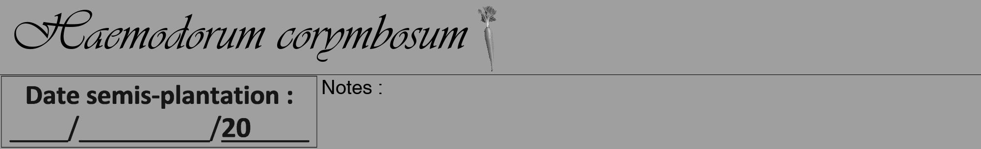 Étiquette de : Haemodorum corymbosum - format a - style noire24viv avec comestibilité simplifiée