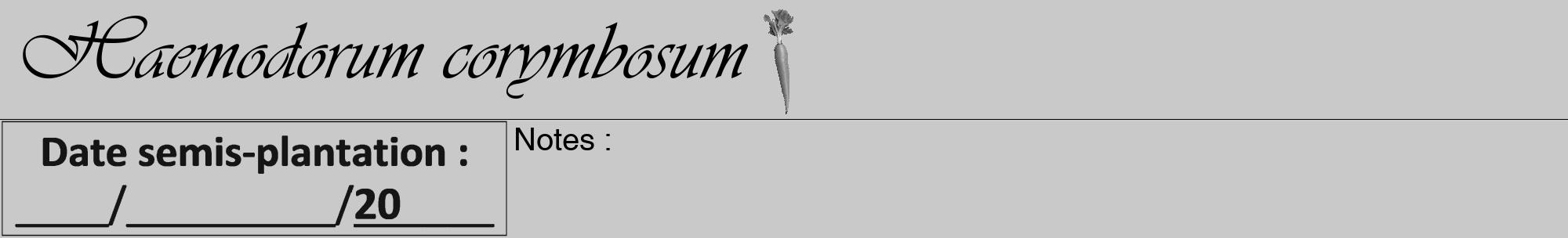 Étiquette de : Haemodorum corymbosum - format a - style noire54viv avec comestibilité simplifiée