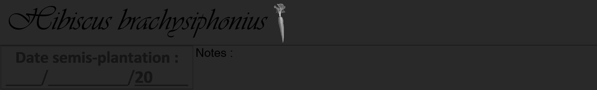 Étiquette de : Hibiscus brachysiphonius - format a - style noire34viv avec comestibilité simplifiée